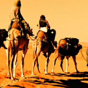 5 Days Tour from Marrakech to desert and Fes